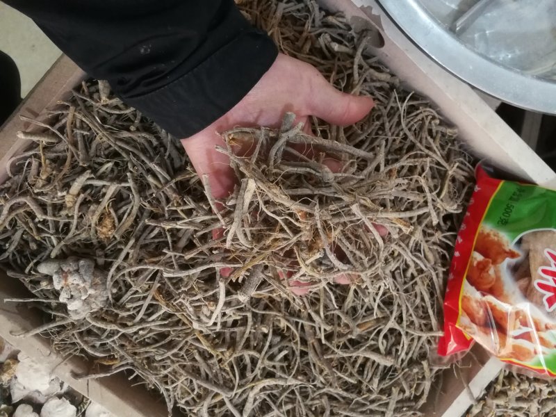 文山三七云南文山自产精品三七