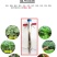 栽苗器种苗手持式轻便移栽器打孔种植全自动种菜工具移苗种烟