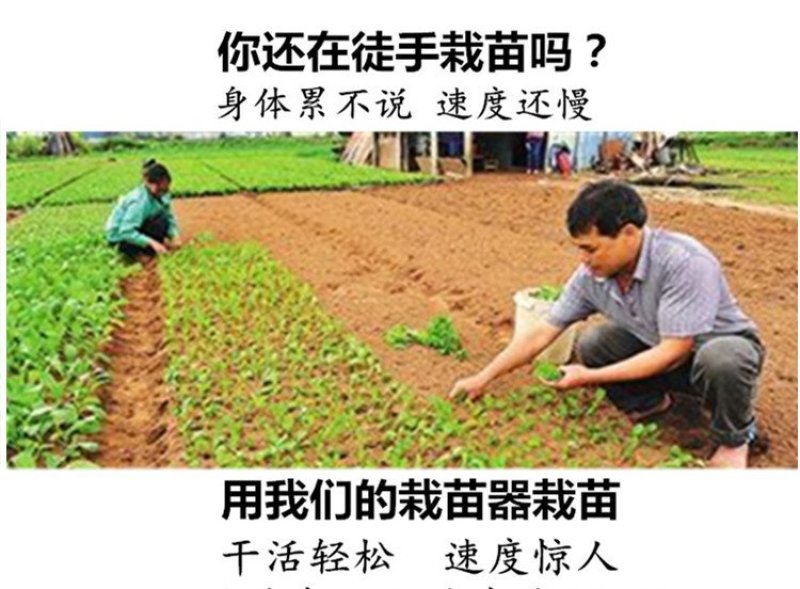栽苗器种苗手持式轻便移栽器打孔种植全自动种菜工具移苗种烟