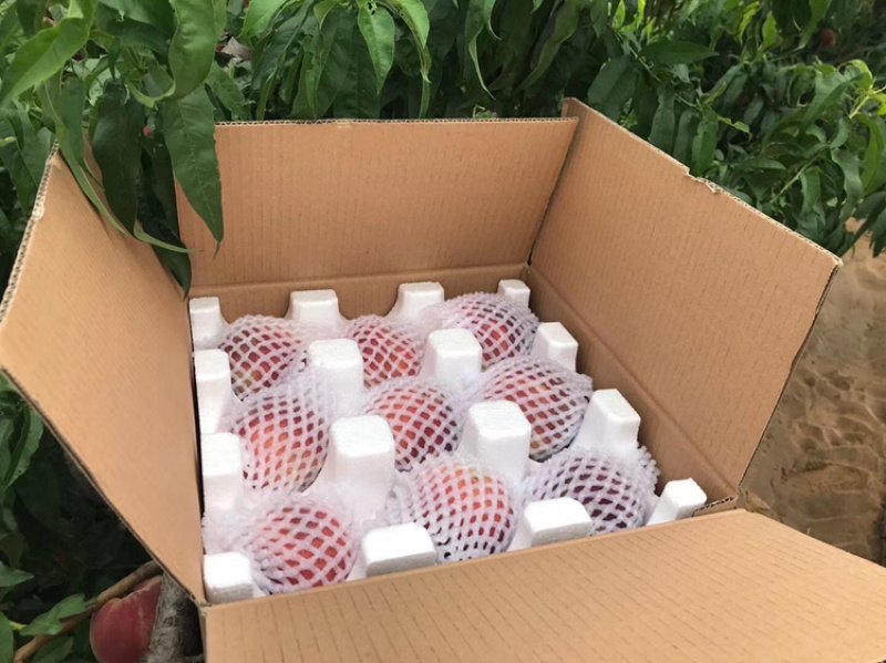陕西蜜汁水蜜桃纯甜电商一件代发京东快递上门