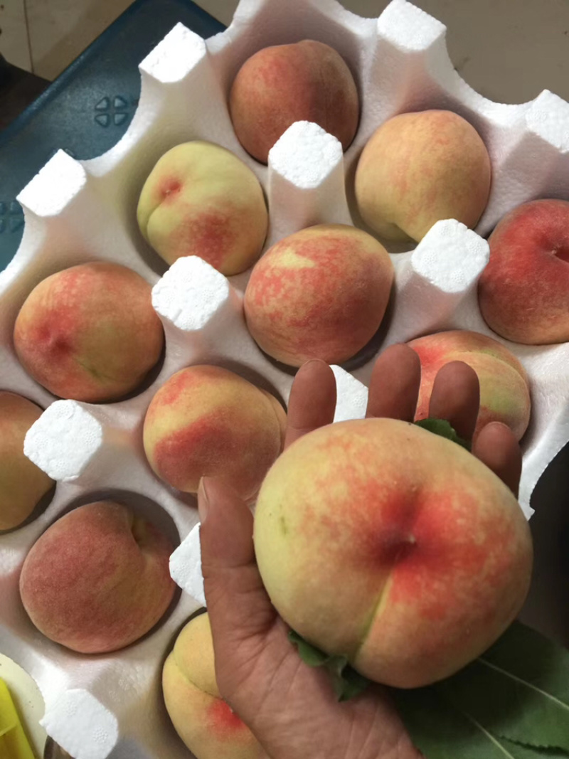 陕西蜜汁水蜜桃纯甜电商一件代发京东快递上门