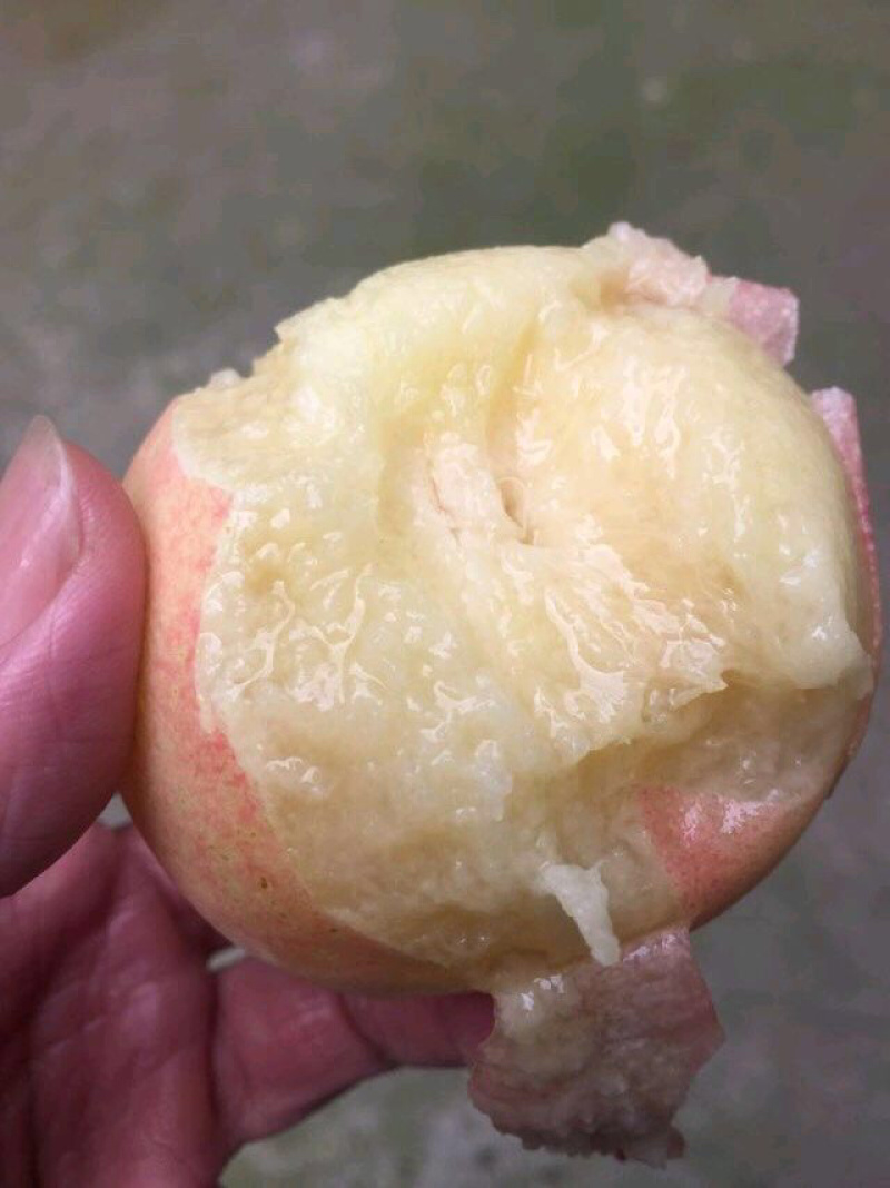 陕西蜜汁水蜜桃纯甜电商一件代发京东快递上门