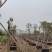 直供PVC控根器围树头黑胶片园林花木场移植胶板泥土围