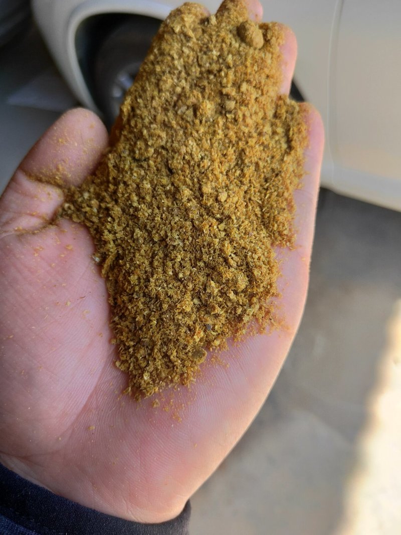 厂家直供玉米酒糟DDGS畜牧家禽饲养添加饲料全国送货上门