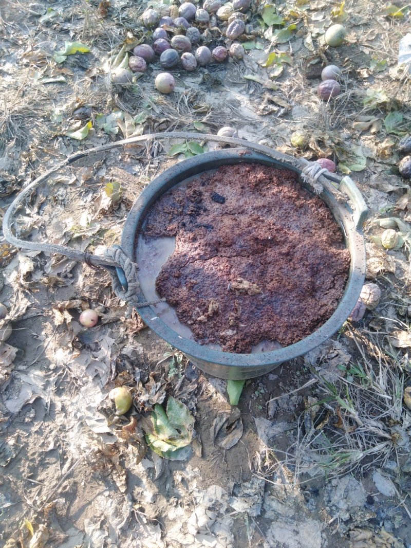 赣南农家肥生态种植百香果，一件代发，品质保证