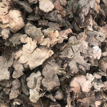 金荞麦【包邮】三斤起发货可批量可零售量大从优
