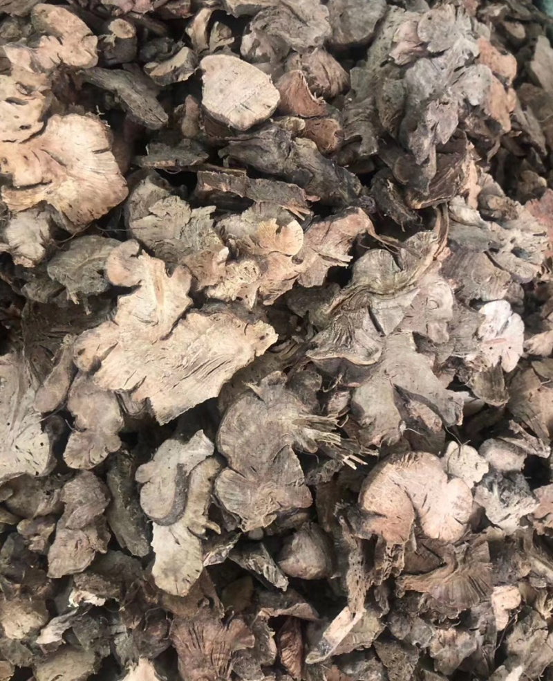 金荞麦【包邮】三斤起发货可批量可零售量大从优