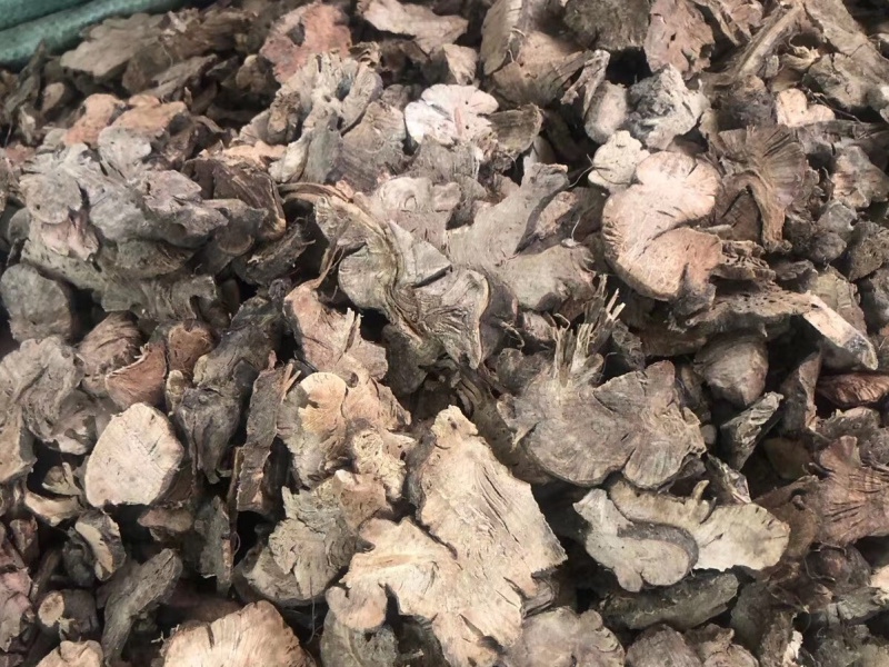 金荞麦【包邮】三斤起发货可批量可零售量大从优