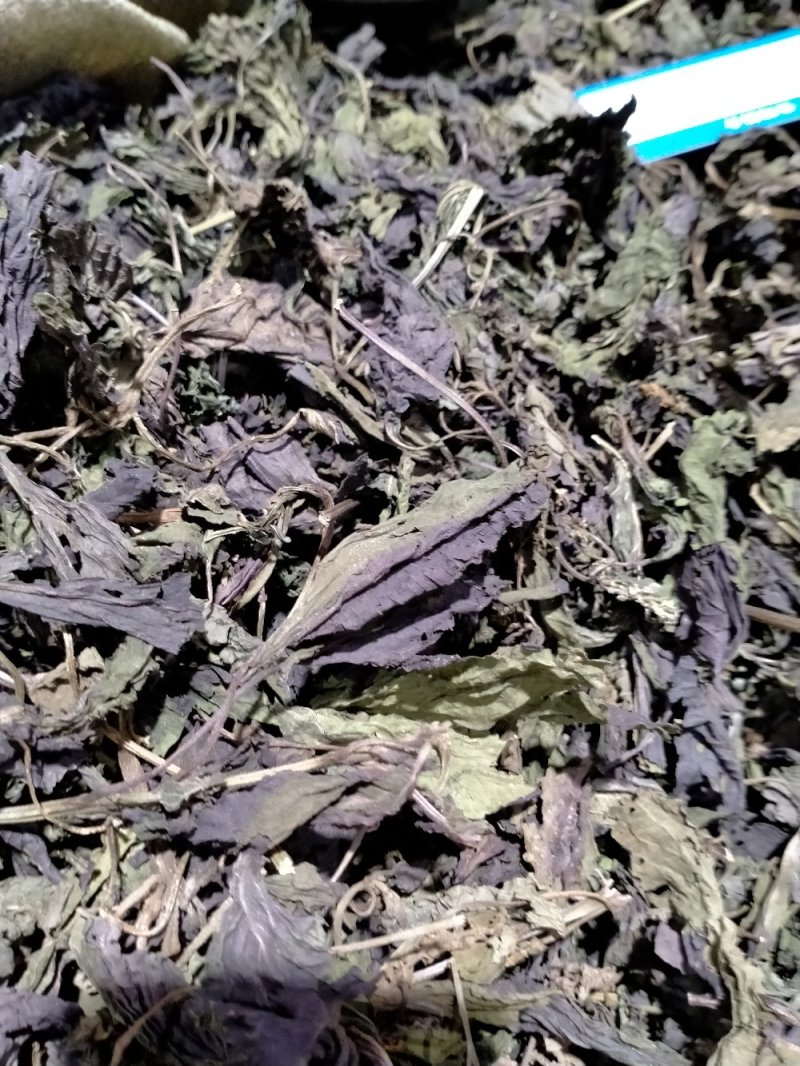 紫苏叶丶紫苏梗！！大货批发一手货源价格优！