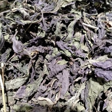 紫苏叶丶紫苏梗！！大货批发一手货源价格优！