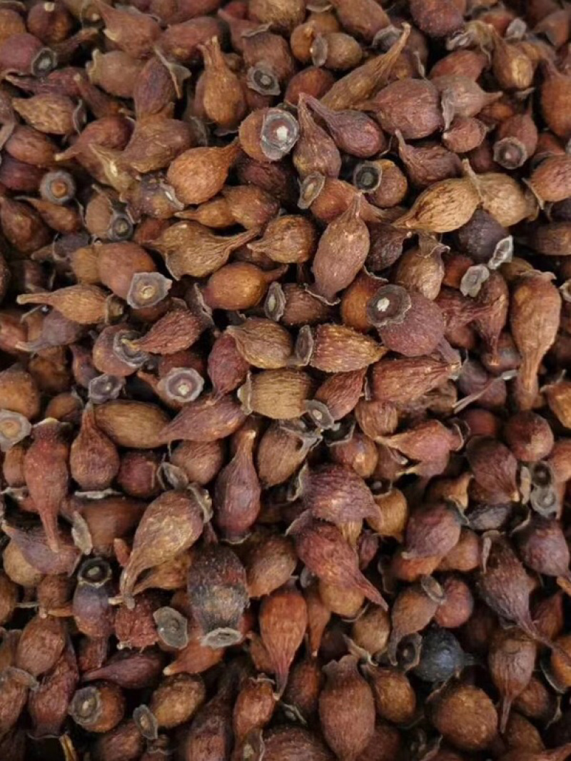 金樱子【包邮】各种规格有货可批量可零售量大从优