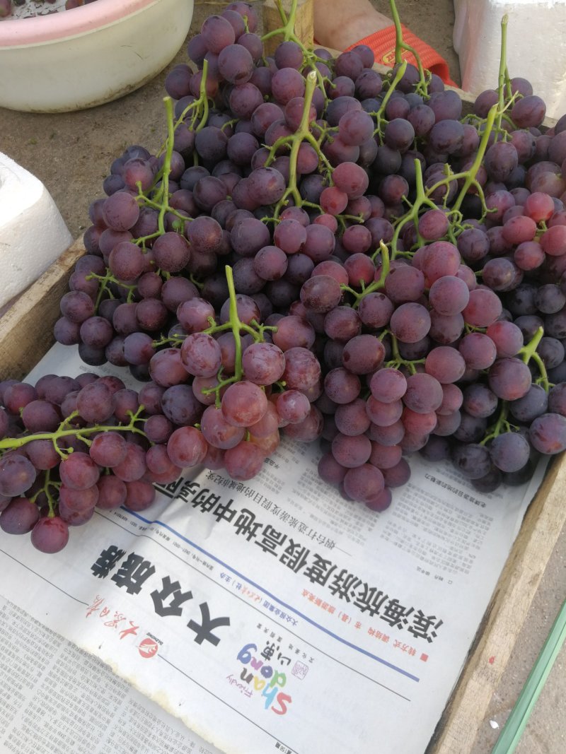 水果