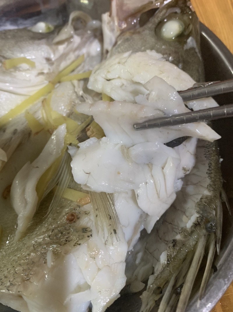 海鲈鱼