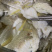 海鲈鱼