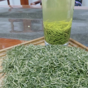 信阳毛尖明前特级丫头！