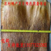云南棕片棕树皮棕榈衣棕皮山精选25厘米以上产地销售
