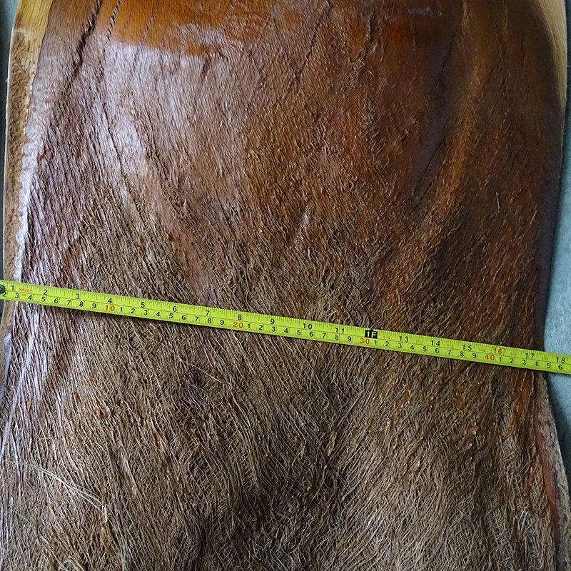 云南棕片棕树皮棕榈衣棕皮山精选25厘米以上产地销售