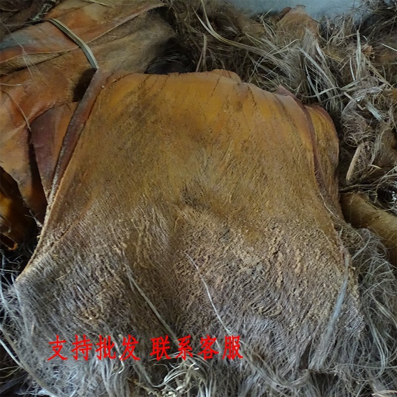 云南棕片棕树皮棕榈衣棕皮山精选25厘米以上产地销售