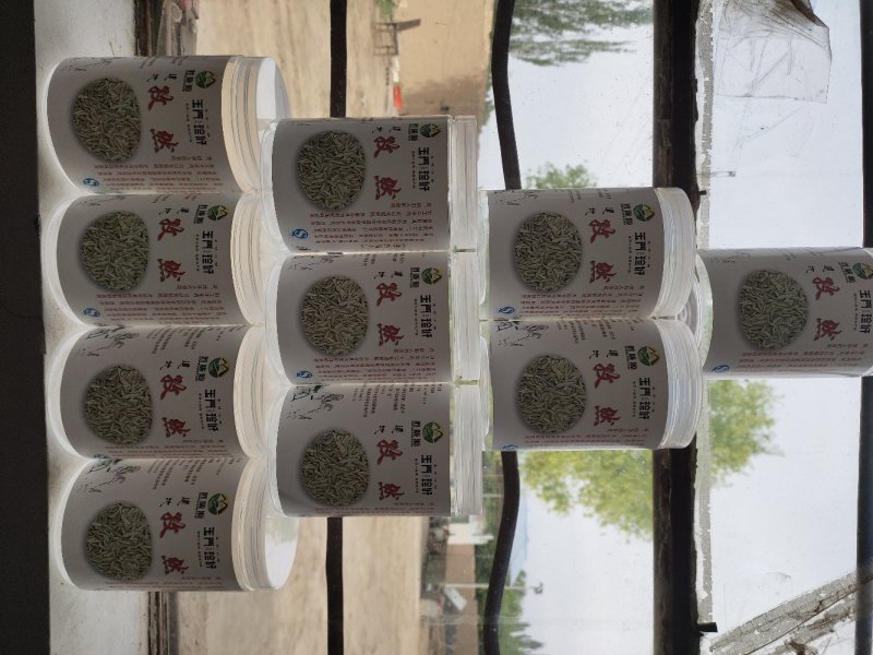 孜然原产地甘肃特优级孜然全国发货玉门花海孜然颜色绿