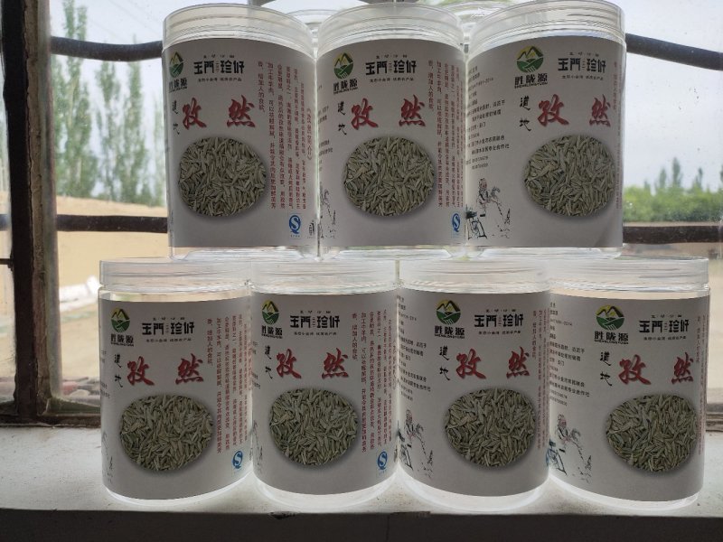 孜然原产地甘肃特优级孜然全国发货玉门花海孜然颜色绿