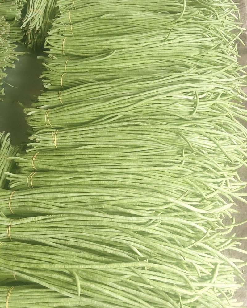青豇豆