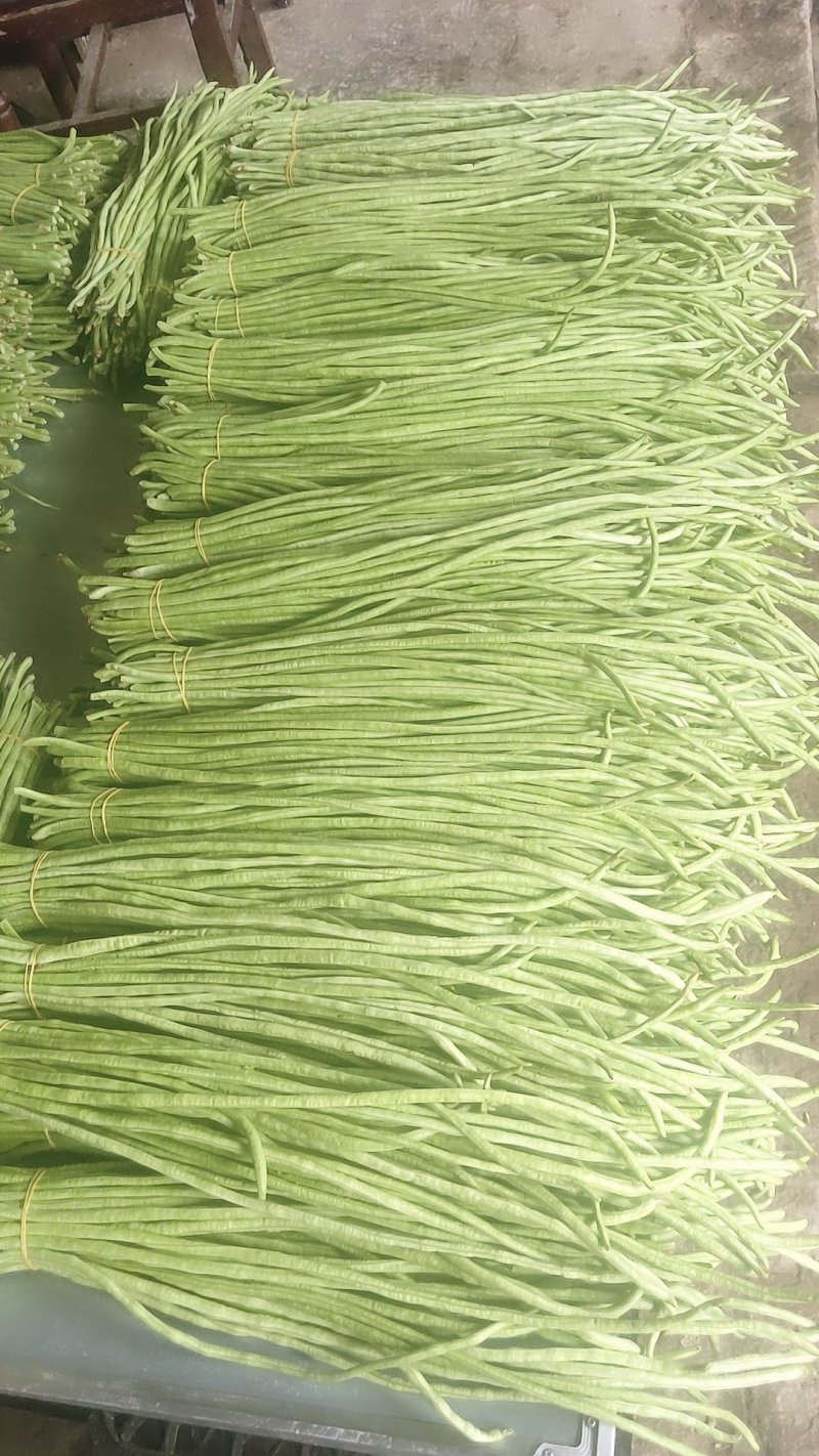 青豇豆