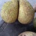 菠萝蜜