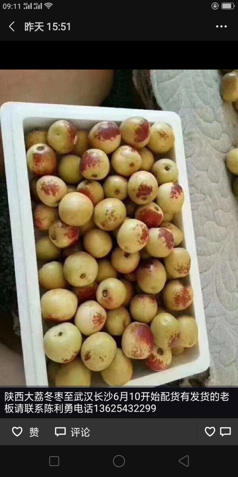 冬枣