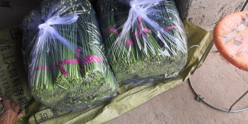 韭苔，陆地韭菜苔陆续上市中，露天韭苔开始上市