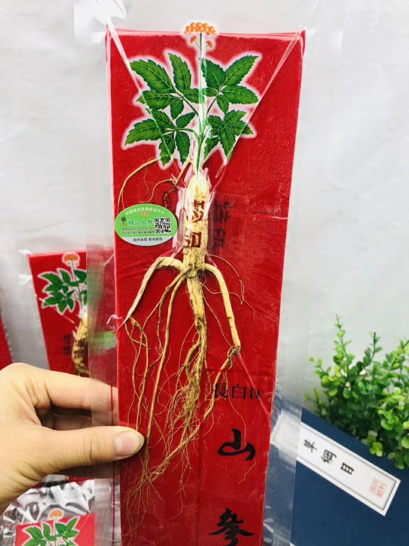【包邮】林下参干货单支真空包装7-10克单支