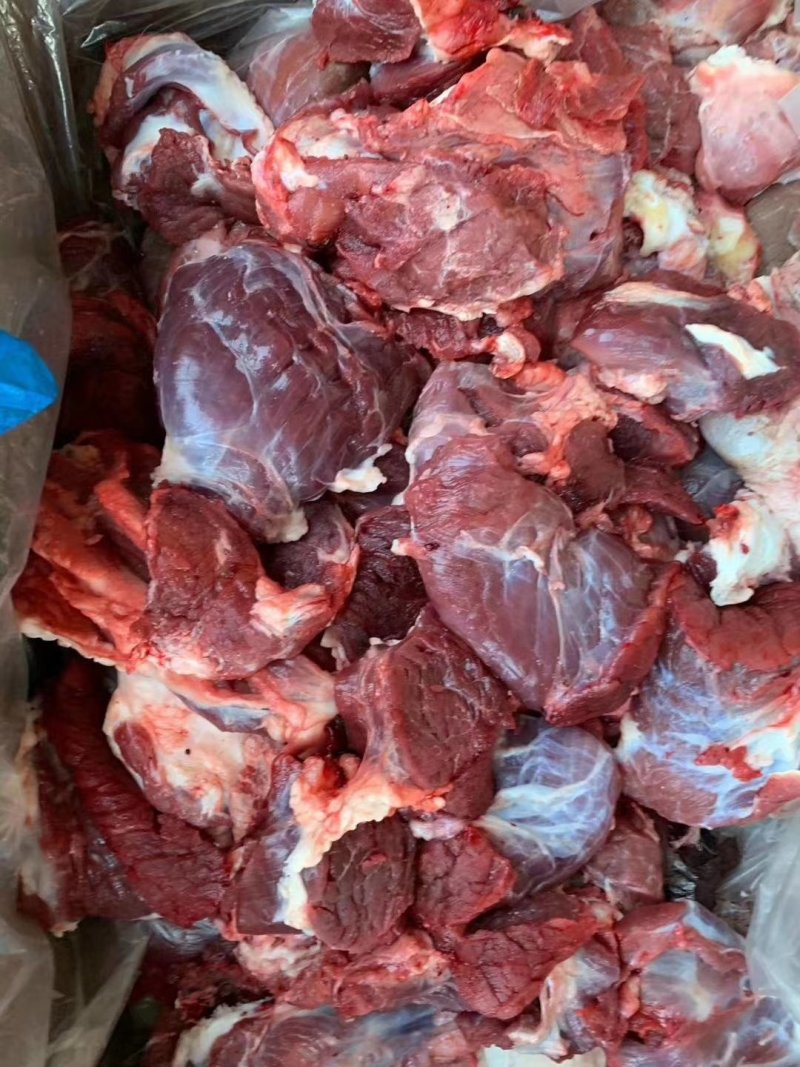 纯干牛肉块，每天鲜货，大量批发