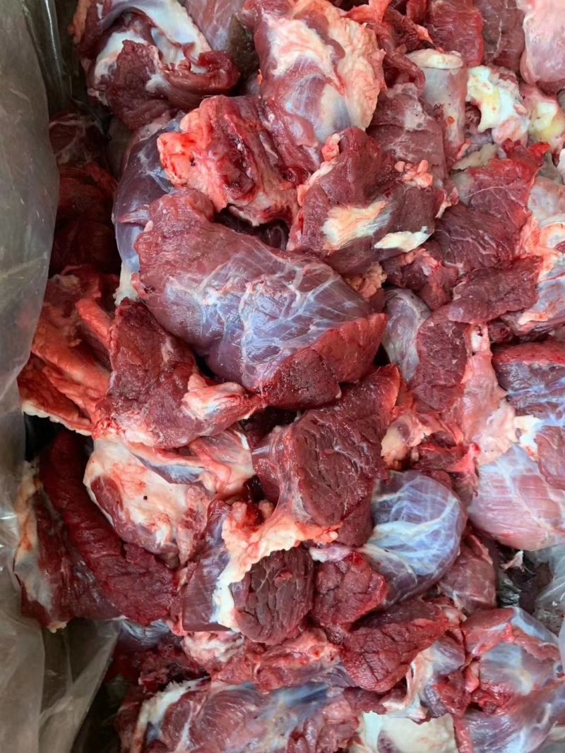 纯干牛肉块，每天鲜货，大量批发