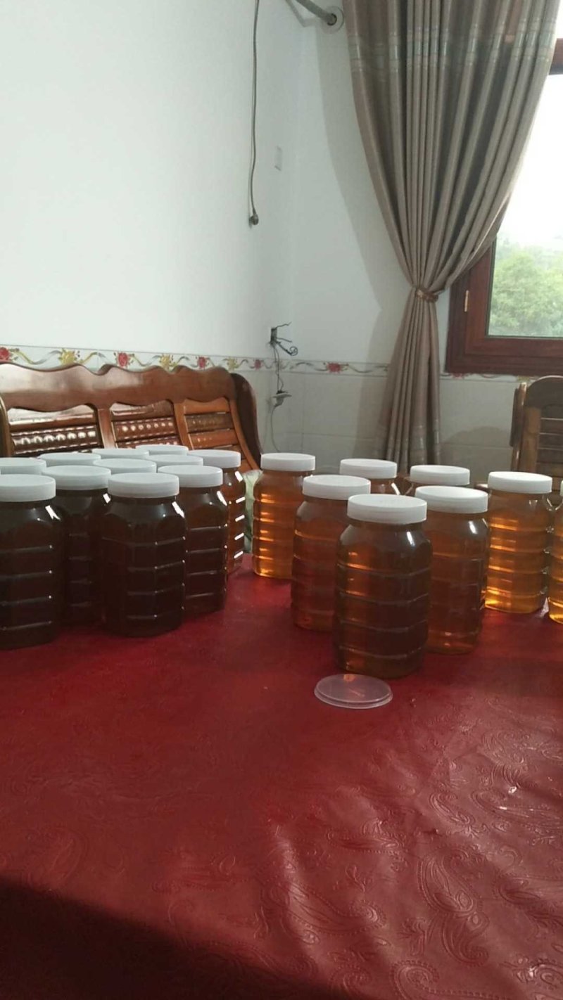 纯中蜂蜂蜜