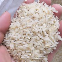 酒米，酿酒米，饲料米，碎米