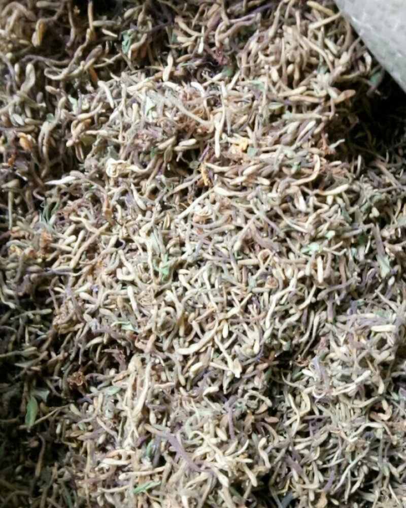 金银花