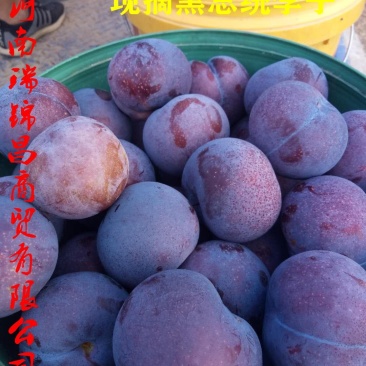 黑布郎黑总统现货河南露天黑琥珀黑宝石红布林上市