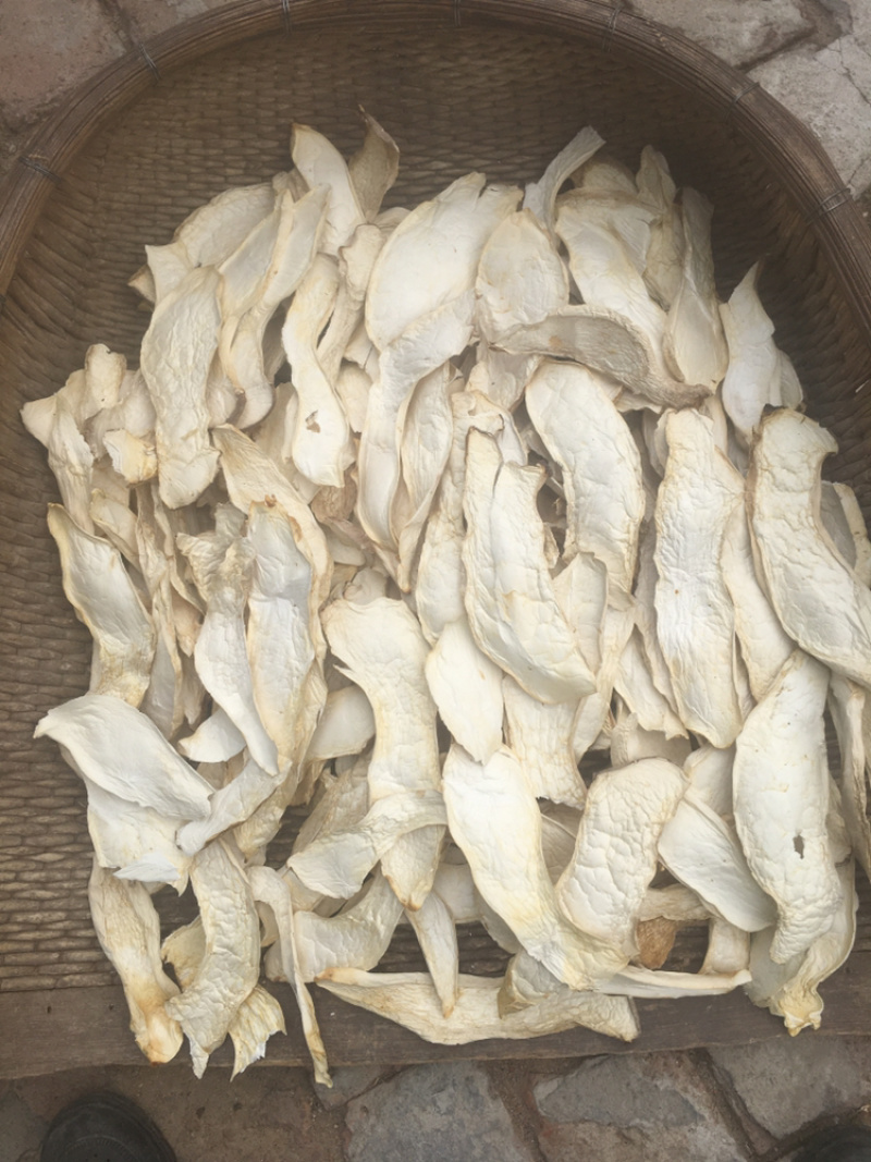 产地园区直供杏鲍菇大中小干片颜色好煲汤佳品