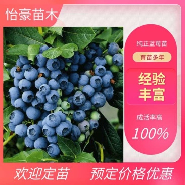 【优选】薄雾优瑞卡L绿宝石莱克西天后珠宝云雀公爵