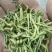 秀山产金银花特级蒸汽茶花一级正宗湘泡茶专用特级茶叶批发。