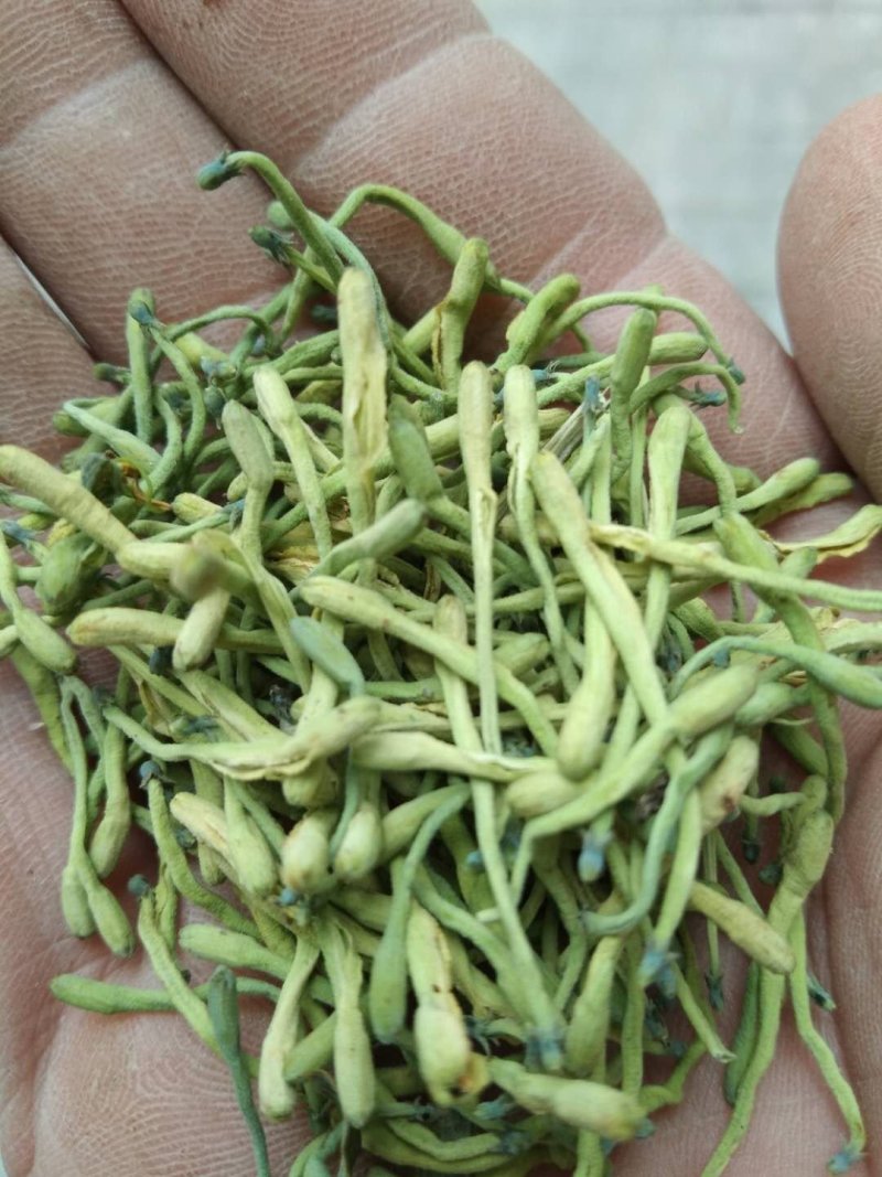 秀山产金银花特级蒸汽茶花一级正宗湘泡茶专用特级茶叶批发。