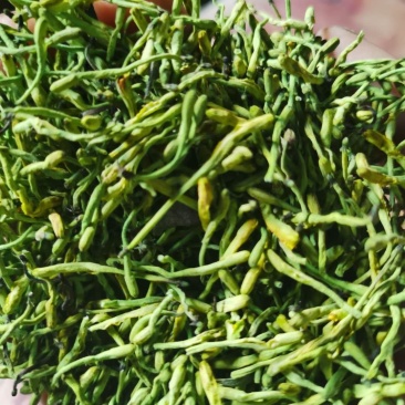 秀山产金银花特级蒸汽茶花一级正宗湘泡茶专用特级茶叶批发。