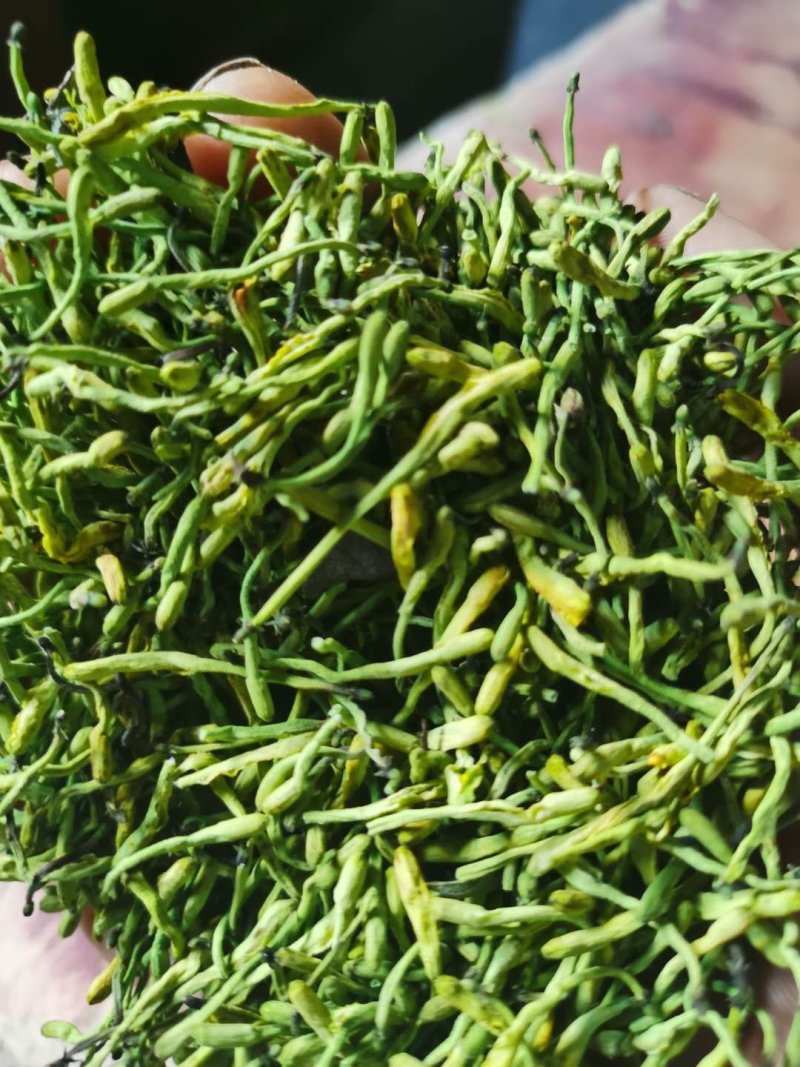 秀山产金银花特级蒸汽茶花一级正宗湘泡茶专用特级茶叶批发。