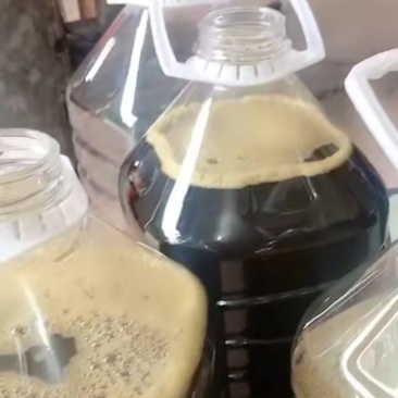 纯正菜籽油