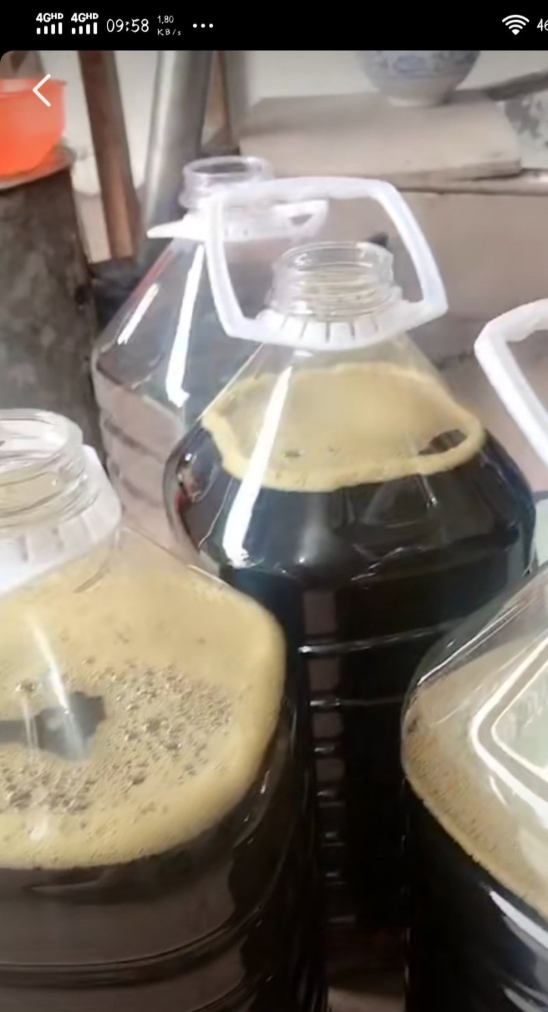 纯正菜籽油