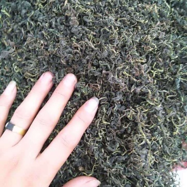 蒲公英茶