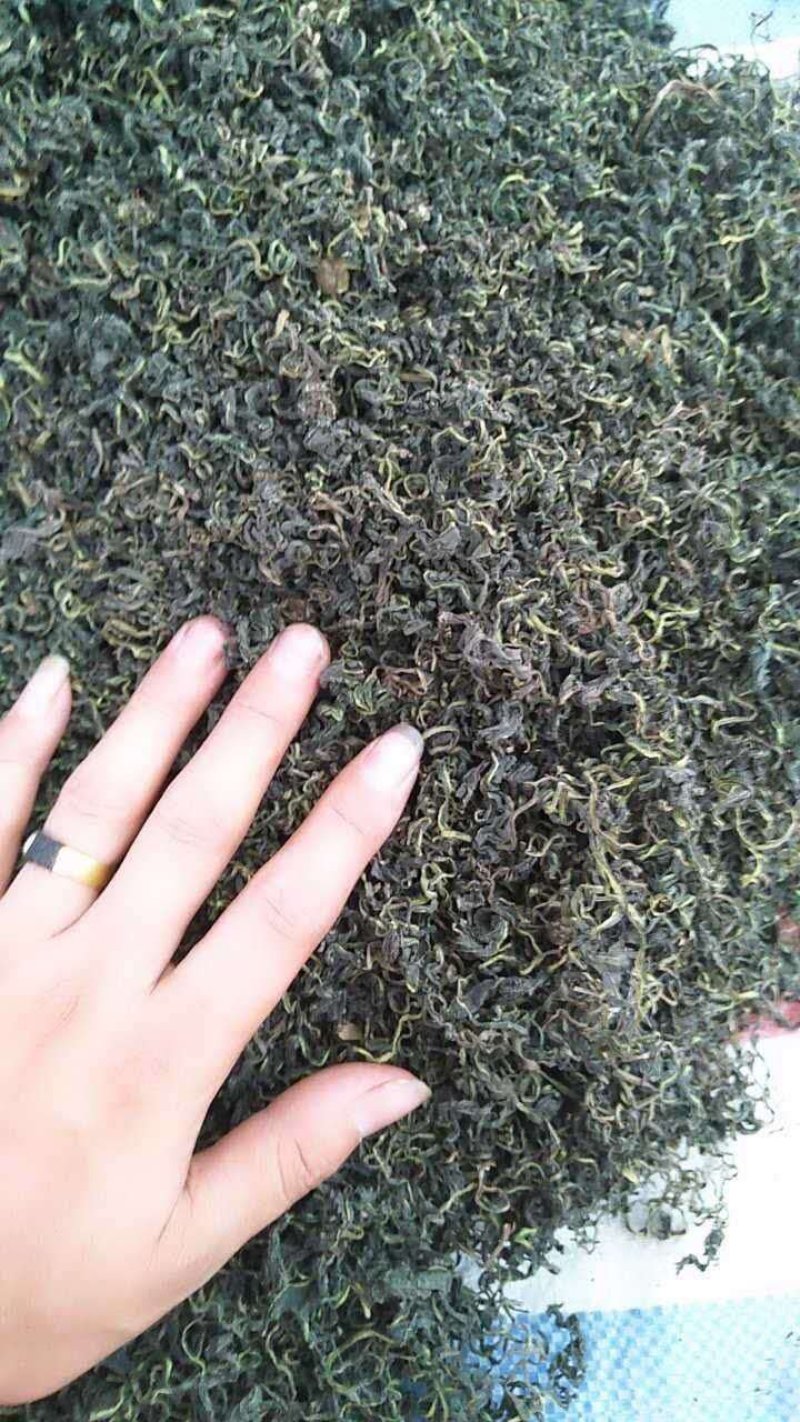 蒲公英茶