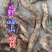 贵州毕节古夜郎大地野生中药材野生山药现挖