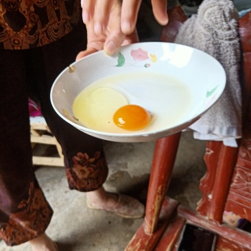 乌鸡绿壳蛋，土鸡蛋，粉蛋