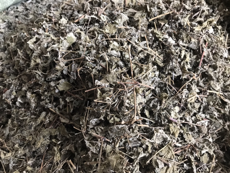 溪黄草白藤霉茶野生凉茶溪黄草中药材新货