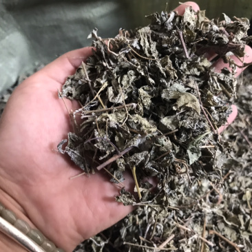 溪黄草白藤霉茶野生凉茶溪黄草中药材新货